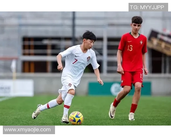 王磊专访揭秘足球成功背后的秘密与策略分析 王磊专访揭秘足球成功背后的秘密与策略分析