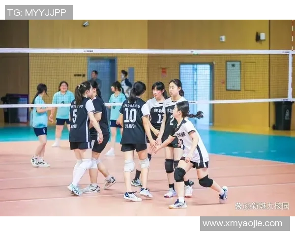 南京排球队勇夺最新排球耐力排行榜第一名引发热议