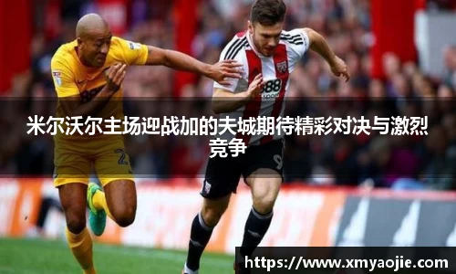米尔沃尔主场迎战加的夫城期待精彩对决与激烈竞争
