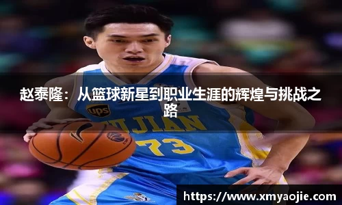 赵泰隆：从篮球新星到职业生涯的辉煌与挑战之路