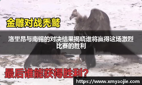 VSport胜利因您更精彩