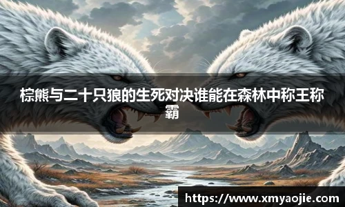 棕熊与二十只狼的生死对决谁能在森林中称王称霸