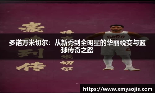 多诺万米切尔：从新秀到全明星的华丽蜕变与篮球传奇之路
